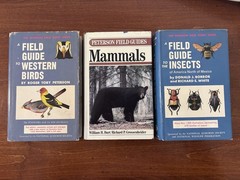 Vintage Peterson Field Guides Lot: Western Birds, Mammals, Insects