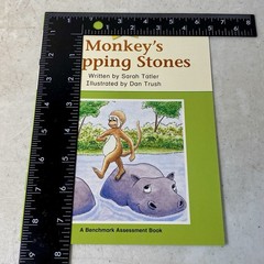 Monkey’s Stepping Stones (A Benchmark Assessment Book Level 16) – Paperback – VG