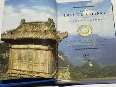 tao te ching book Laozi 2011 New Illustrated Edition Translated By Chad Hansen