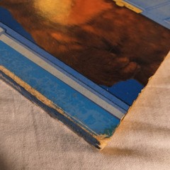 Welcome To The Big Blue House 13 Flaps To Lift Classic 90’s Kids Reading Book