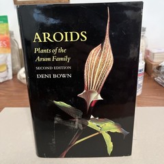 Aroids : Plants of the Arum Family by Deni Bown (2000, Hardcover)