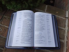 NIV Single Column Ref Wide Margin Personal Bible -$229.99 Retail Blue Goatskin