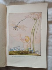 The Water Babies Charles Kingsley Told To Children By Amy Steedman Antique Book