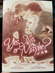 Yes, No, or Maybe? (Light Novel): 1 by Ichiho, Michi Paperback / softback Book