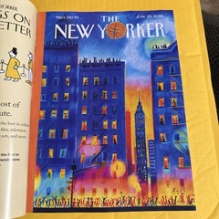 The New Yorker Magazine June 22, 2026 Illustrated new York Knicks NBA champions