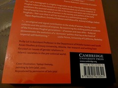 Domesticity and Power in the Early Mughal World by Ruby Lal (English) Paperback