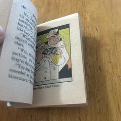 Walt Disney’s Donald Duck in Volcano Valley Big Little Book & Luck Of The Duck