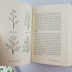 How to Read A Tree by Tristan Gooley & How To HousePlant by Heather Rodino Decor