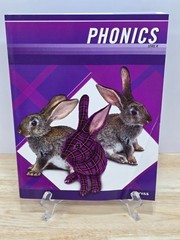 Plaid Phonics Level K Student Workbook Kindergarten Homeschool Curriculum