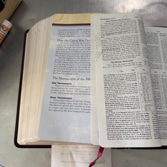 Nelson’s NKJV Study Bible 2885NBG Gilded Bonded Leather