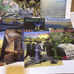Lot 13 ISRAEL MY GLORY Magazines 2008-14, Misc Dates Biblical Holy Land Religion