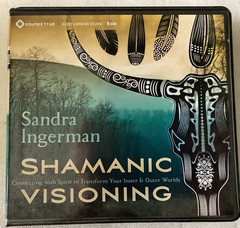Shamanic Visioning: Connecting with Spirit to Transform/Sandra Ingerman/VG 6 CDS