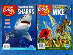 Lot Of 33 National Geographic Kids, Ranger Rick, RR Jr Magazines 2019-2025