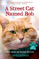 A Street Cat Named Bob: And How He Saved My Life – Paperback – GOOD