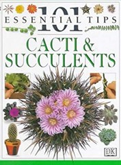 Cacti and Succulents Paperback Deni, Hewitt, Terry Bown