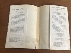 1st Ed E.B. White STUART LITTLE 1945 HCDJ GD