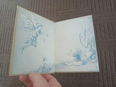 Flower Fairies Of The Summer by Cicely Mary Barker HB Tiny Tots Series. Vtg 20s
