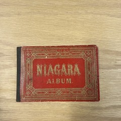 Antique Niagara Falls Souvenir Photo Album Accordion Book Victorian Travel Views