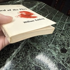 LORD OF THE FLIES Twenty-second Impression Vintage Book 1959 Nice!