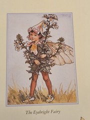 Flower Fairies Photo Album Cicely Mary Barker The Seasons Hardback Book