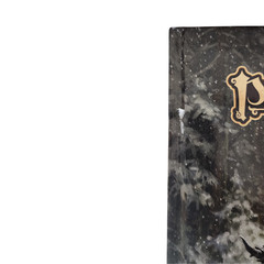 Paizo Pathfinder Lost Omens RPG Character Guide Hardcover Second Edition