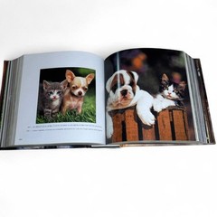 VTG Cats Cube Book 736 Pages Massive Photography Coffee Table Book Feline Art