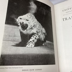 University of Knowledge Book Trailing Animals Around the World 1938 Chicago USA