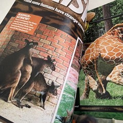 Zoo Magazine – March 2009 – Madison – The 5EX Issue – Excellent Condition