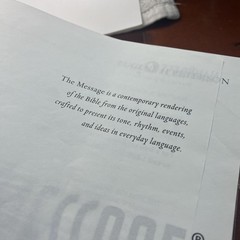 The Message Bible Eugene Peterson Apress Brown Leather Large Print Numbered USA