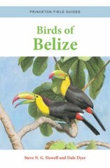 Birds of Belize (Princeton Field Guides) (flexibound)