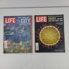 Lot of 12 Life Magazines 1962 – 1968; James Earl Ray, De Gaulle, Vietnam, Virus