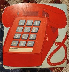 The Telephone Book By Donna Kelly