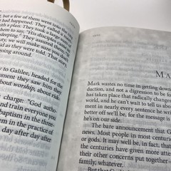 The Message Bible Eugene Peterson Apress Brown Leather Large Print Numbered USA
