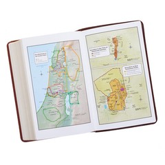 The Holy Bible King James Version Giant Print Tan/Brown / Jesus words in red