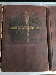 Victor Hugo Volumes 3 4 and 5 Hardcover Books 1890’s Illustrated Antique