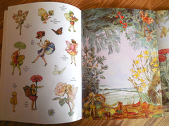 NEW 1977 Warne Cicely Mary Barker “The Flower Fairies” Sticker Activity Book