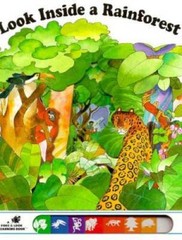 Look inside a Rainforest (Poke & Look Learning) – Board book – GOOD