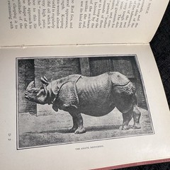 1901 The Animals Of The Bible Gambier Bolton Illustrated Natural History Book