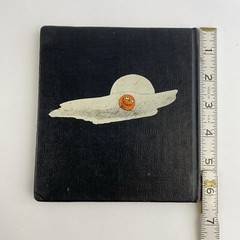 The Mystery Of The Flying The Orange Pumpkin Steven Kellogg Vintage Kid Book 1st