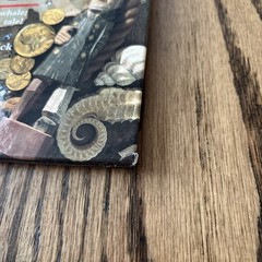 1999 I Spy Treasure Hunt Walter Wick Jean Marzollo First Scholastic Edition