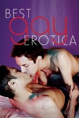 Best Gay Erotica 2009 by
