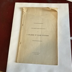 chastisement of a bearer of false witness by Albert Pike, 1889 1st stapled wrap