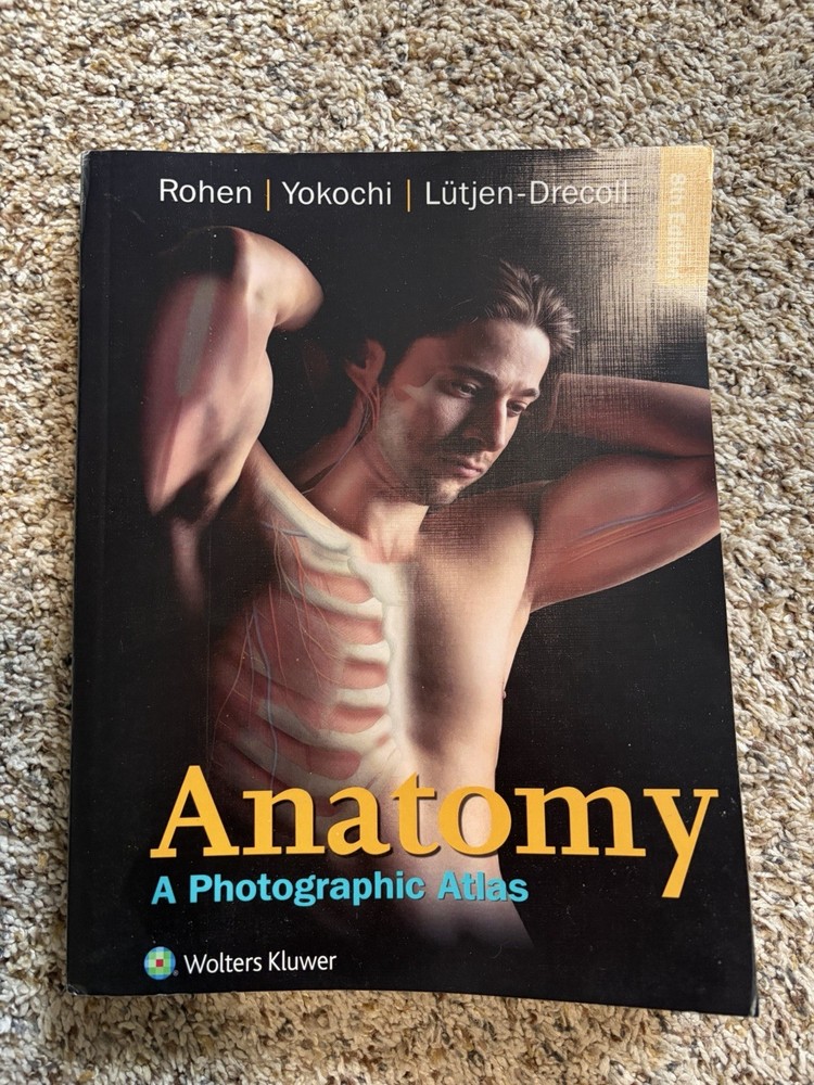 Anatomy : A Photographic Atlas by Chihiro Yokochi, Johannes W. Rohen and Elke Lü