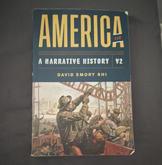 David Emory Shi America: A Narrative History V2 Paperback W. W. Norton