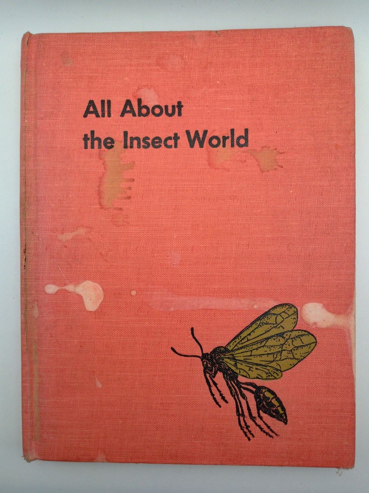 All About the Insect World Ferdinand C Lane 1954 Childrens Illustrated Hardcover