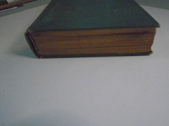 Gulliver’s Travels, Jonathan Swift, Lemuel Gulliver, Henry Coates Publ, 1910s?