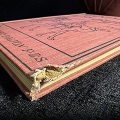 1901 The Animals Of The Bible Gambier Bolton Illustrated Natural History Book