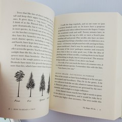 How to Read A Tree by Tristan Gooley & How To HousePlant by Heather Rodino Decor