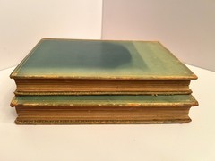 Antique 1895 Secret & Private Memoirs of Louis XIV & XV 2 Volume Set Sangorski