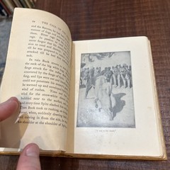 CALL OF THE WILD by Jack London Illust 1910 Grossett Pub. Norwood Press B29